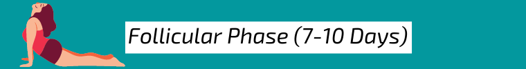 Cycle Syncing Follicular Phase cycle syncing how to follicular phase