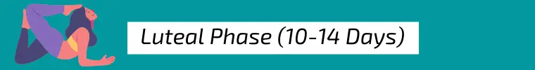 Cycle Syncing How To Luteal Phase luteal phase
