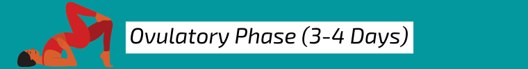 Cycle Syncing How To Ovulatory Phase cycle syncing how to ovulatory phase