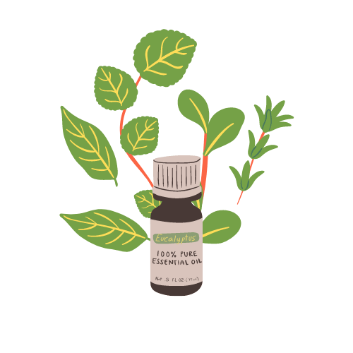 Boost Immune System Naturally (3)-min immune boosting essential oils